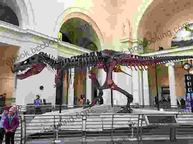 A Complete Dinosaur Skeleton, Showcasing The Massive Size And Intricate Structure Of These Prehistoric Creatures. Dinosaur Childrens Book: Dinosaur Facts Fossils Pictures Art Discoveries