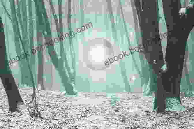 A Mysterious Orb Of Light Floating In A Dark Forest The Ghostly Tales Of Colorado S Front Range (Spooky America)