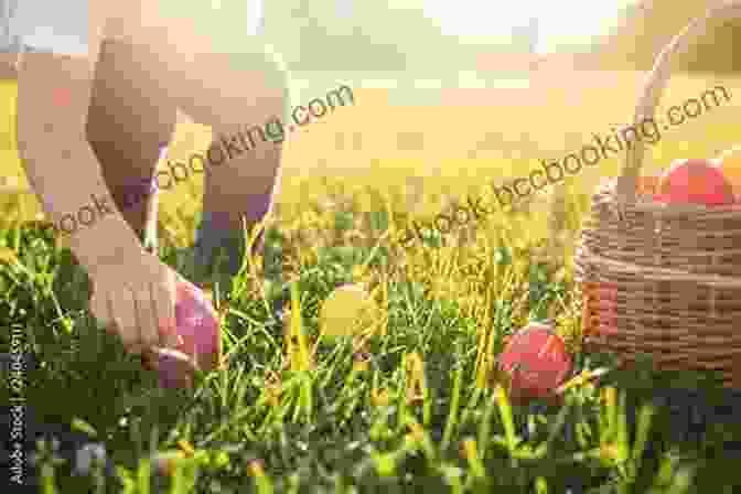 A Picture Of A Child Searching For Easter Eggs. Unbelievable Pictures And Facts About Easter