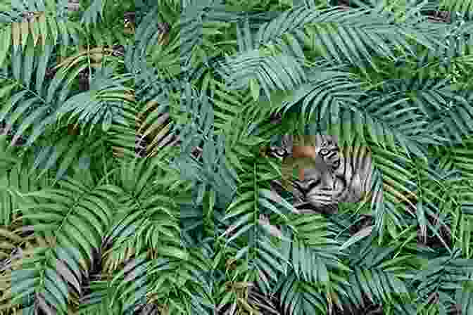 A Tiger Resting In A Dense Forest, Surrounded By Lush Vegetation Spell Of The Tiger: The Man Eaters Of Sundarbans