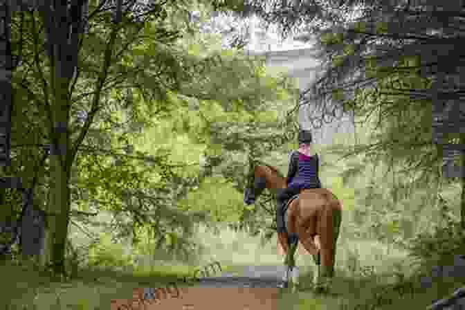 A Winding Horse Trail, Inviting Riders To Explore The Serene Beauty Of The Countryside Can T Be Tamed (Horse Country #1)