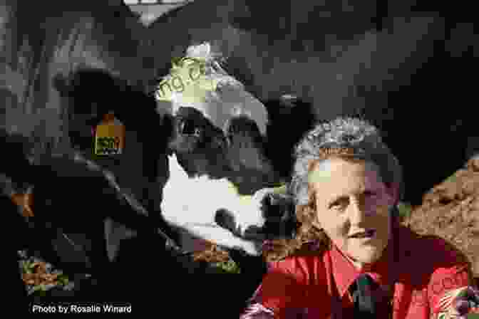 A Young Temple Grandin In A Field With Cows Temple Grandin: How The Girl Who Loved Cows Embraced Autism And Changed The World