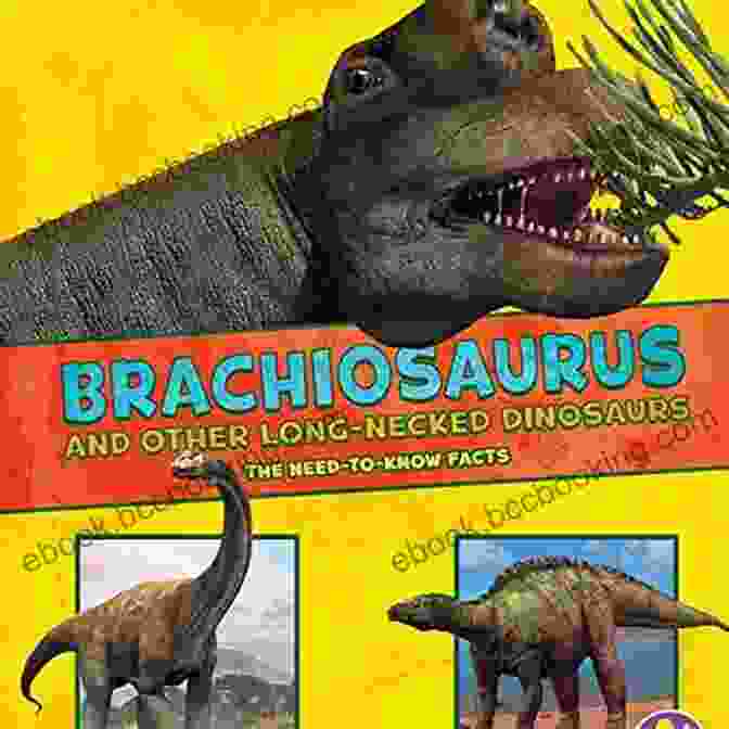 Brachiosaurus And Other Long Necked Dinosaurs Book Cover Brachiosaurus And Other Big Long Necked Dinosaurs (Dinosaur Fact Dig)