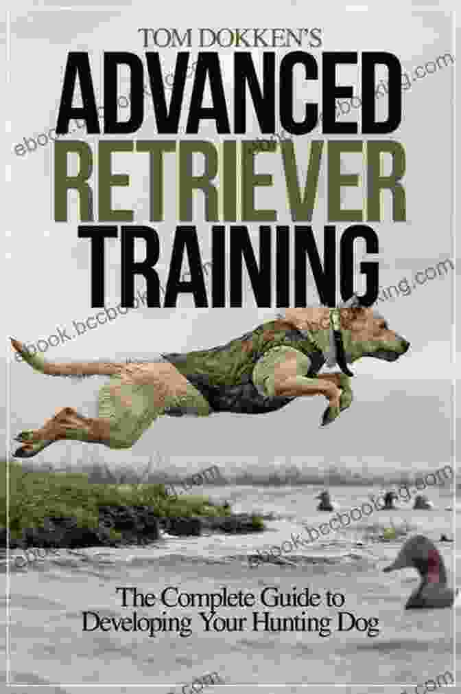 Buy Now Tom Dokken S Retriever Training: The Complete Guide To Developing Your Hunting Dog