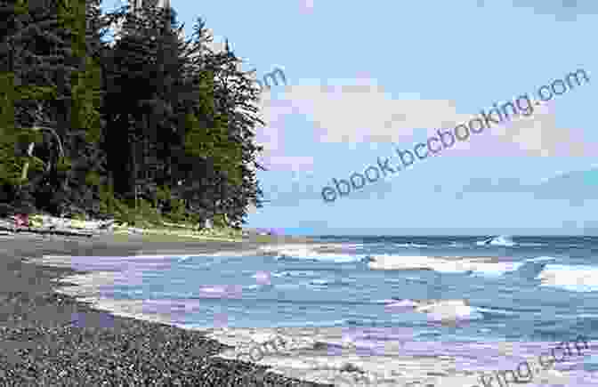 China Beach On The West Coast Of Vancouver Island Discover Hidden Beaches On The West Coast Of Vancouver Island