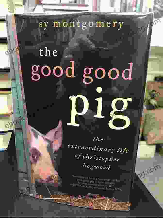 Christopher Hogwood Lecturing The Good Good Pig: The Extraordinary Life Of Christopher Hogwood