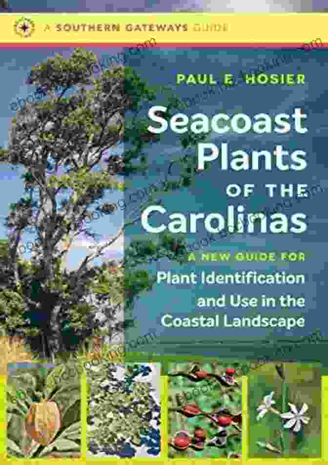 Cover Image Of 'Seacoast Plants Of The Carolinas' Featuring A Collage Of Coastal Plants Seacoast Plants Of The Carolinas: A New Guide For Plant Identification And Use In The Coastal Landscape (Southern Gateways Guides)