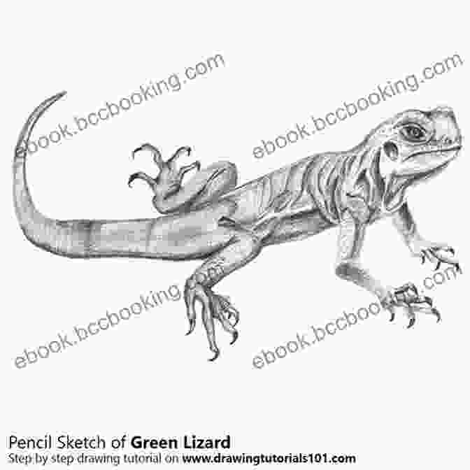 Detailed Sketch Of A Lizard, Highlighting The Subtle Nuances And Textures Of Its Scales And Skin. HOW TO DRAW ROBOTS REPTILES RACECARS: Step By Step Drawing For Kids