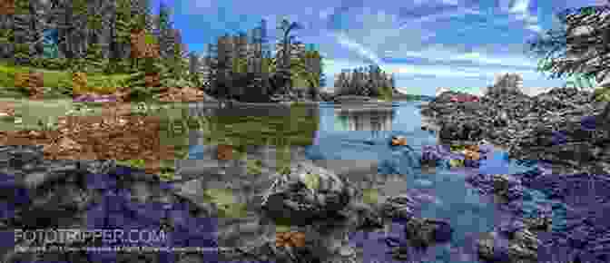 Florencia Bay On The West Coast Of Vancouver Island Discover Hidden Beaches On The West Coast Of Vancouver Island