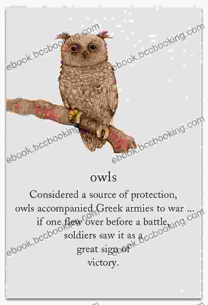Hoot Owl, A Wise And Encouraging Owl Who Offers Guidance And Support. Ranger Rick: I Wish I Was A Llama (I Can Read Level 1)