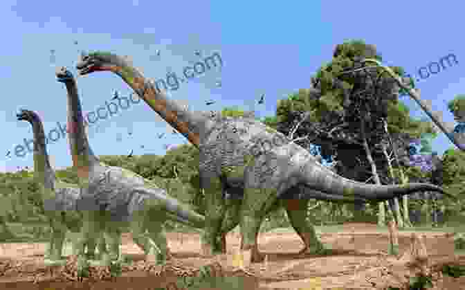 Illustrations Of Brachiosaurus And Other Long Necked Dinosaurs Brachiosaurus And Other Big Long Necked Dinosaurs (Dinosaur Fact Dig)