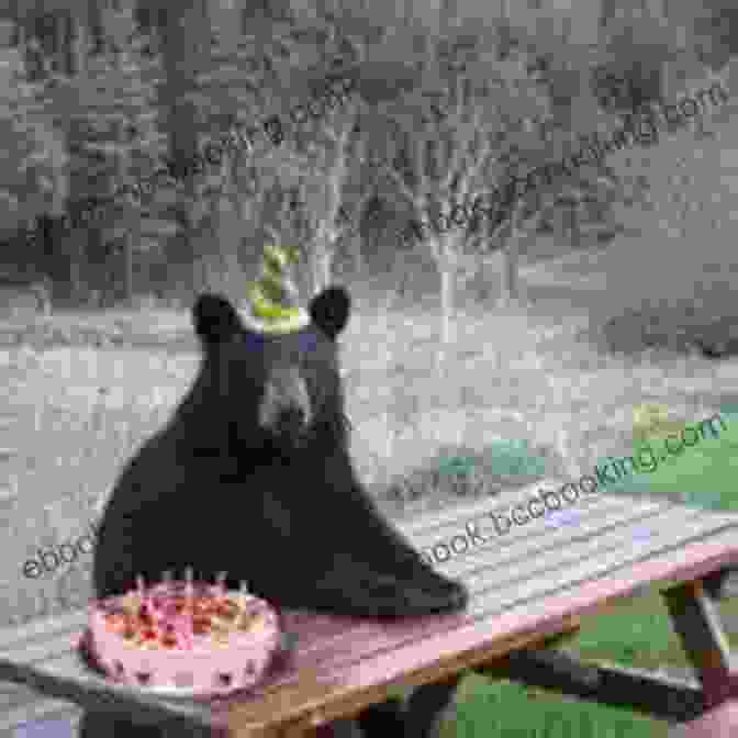 Kalle The Little Bear Wearing A Festive Birthday Hat, Surrounded By Cheerful Animals And A Colorful Birthday Cake Kalle S Birthday (Kalle The Little Bear 1)