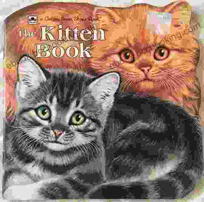 My Little Stray Cat Book Cover Featuring A Cute Kitten My Little Stray Cat 9