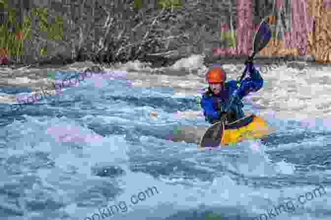 Radisson Canoeing Through A River In The Wilderness The Adventures Of Radisson 2: Back To The New World