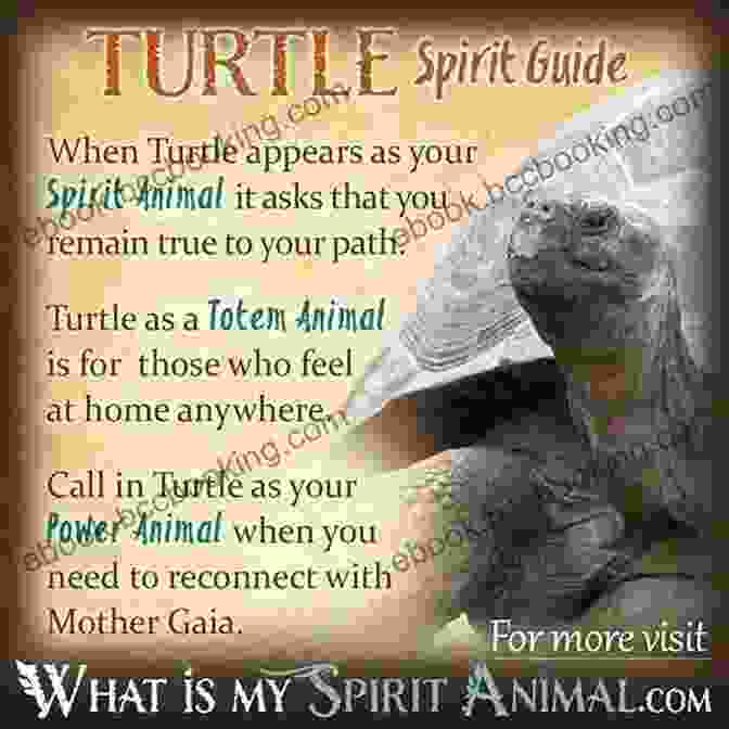 Terry The Tortoise, A Wise And Resolute Tortoise On A Spiritual Journey Terry The Tempted Tortoise