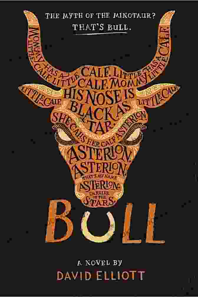 The Bull Raid Book Cover The Bull Raid Janet Lucy