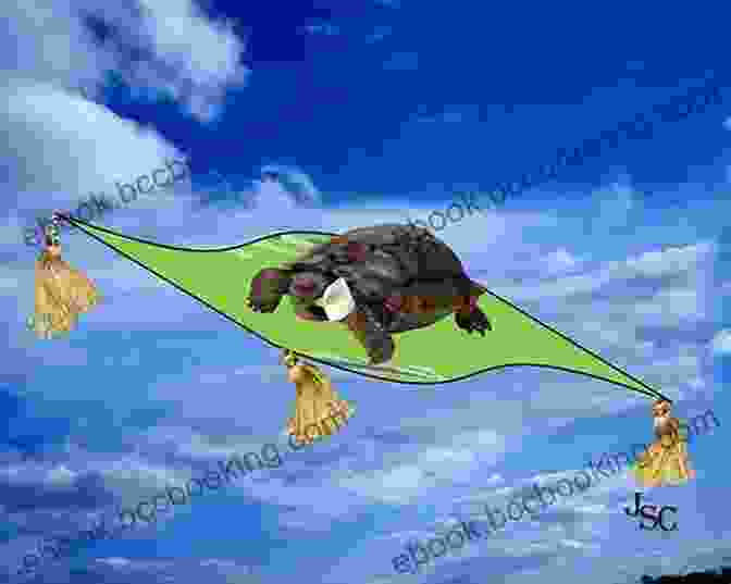 Tilly The Flying Turtle Flying Through The Air Tilly The Flying Turtle