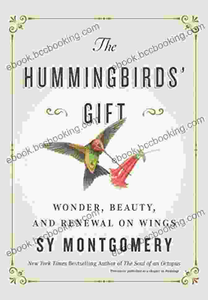 Wonder, Beauty, And Renewal On Wings Book Cover The Hummingbirds Gift: Wonder Beauty And Renewal On Wings