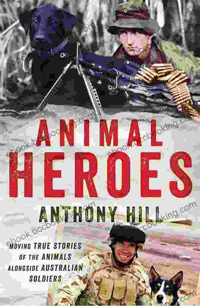 World War Hero Animal Heroes Book Cover Stubby The Dog Soldier: World War I Hero (Animal Heroes)