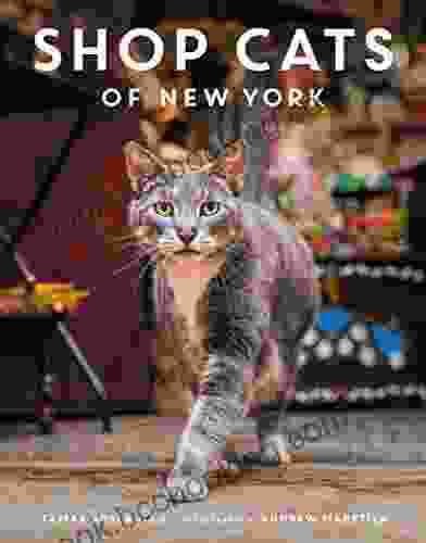 Shop Cats Of New York