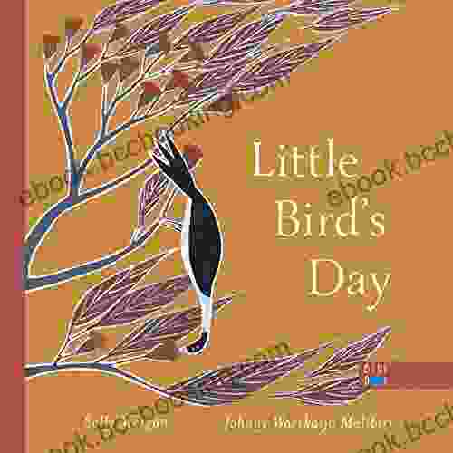 Little Bird S Day Sally Morgan
