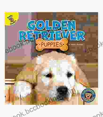 Top Puppies: Golden Retriever Puppies Children S About Golden Retrievers Preschool Grade 2 (16 Pgs)
