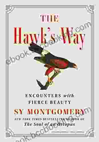 The Hawk S Way: Encounters With Fierce Beauty