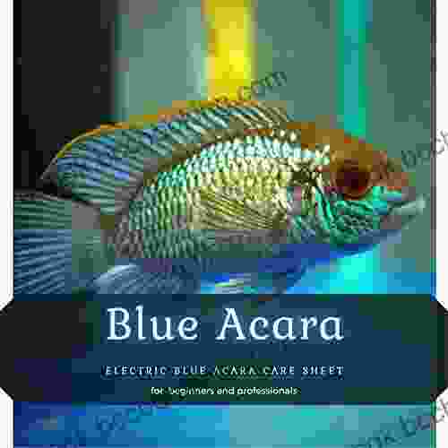 Blue Acara: Electric Blue Acara Care Sheet