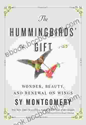 The Hummingbirds Gift: Wonder Beauty And Renewal On Wings